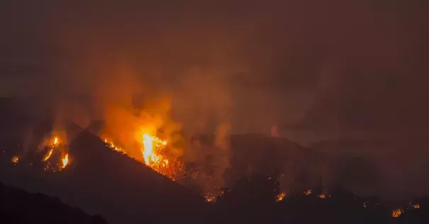 The Whittier fire burns next to Lake Cachuma on July 9 near Santa Barbara, California. Photo: David McNew, Getty Images