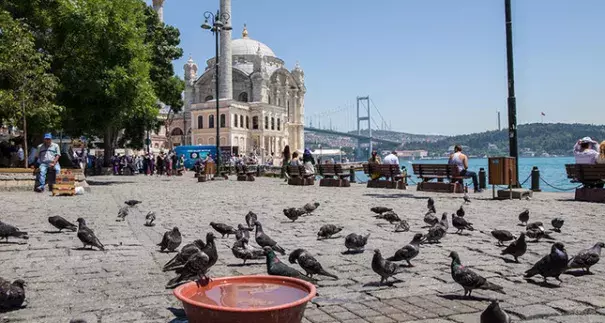 Pigeons gather near a bowl filled with water to cool off at Ortaköy Square, with Istanbul landmarks Grand Mecidiye Mosque and July 15 Martyrs Bridge (Bosporus Bridge) in the background, on June 30, 2017. Photo: Sabah, Kübra Usta