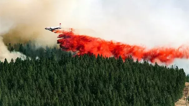 A plane drops a load of fire retardant on the north side of Beacon Hill, Sunday, Aug 21, 2016, in Spokane, Wash. The fast moving wildfire is threatening structures as it moves in a north-easterly direction. Photo: Colin Mulvany / The Spokesman-Review, via AP
