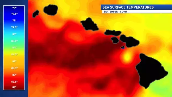 Sea Surface Temperatures September 15, 2019