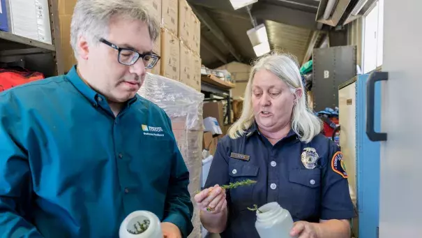 Tom Rolinski inspects sample vegetation at the SCE lab. Credit: Southern California Edison