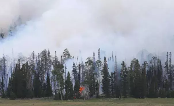 Smoke from a wildfire rises as it burns through trees and ground cover on June 25, 2017 outside Panguitch, Utah. The fire named the “Brian Head Fire” started last week and has burned more then 43,000 acres and destroyed 13 homes as of June 25th. Photo: George Frey, Getty Images