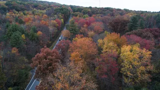 This Monday, Oct. 23, 2017 file photo shows fall colors emerging along Route 209 in Reilly Township, Schuylkill County, Pa. Photo: David McKeown, Republican-Herald via AP