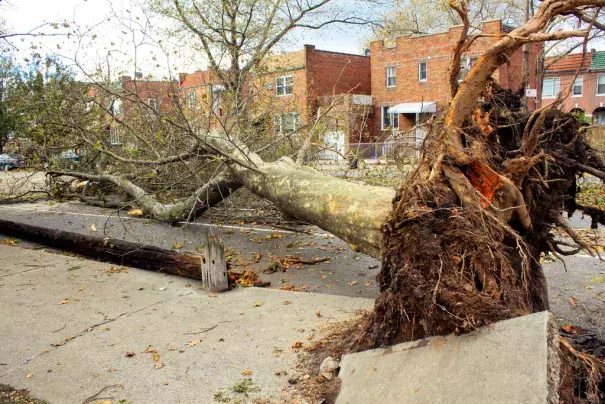 Hurricane Sandy, Brooklyn NY. Photo: Mike, Flickr