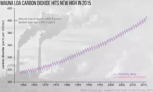 The rise of carbon dioxide levels in the atmosphere. Image: NOAA