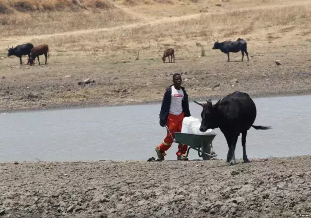 A youth fetches water from a dam near Mount Darwin, Zimbabwe, Oct. 26, 2016. Photo: Reuters