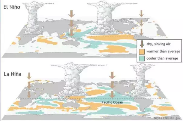 El Niño and La Niña are two halves of a fluctuating distribution of vapor and air currents around the world. Image: NOAA