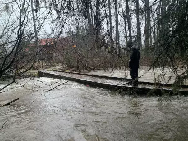 High water along a stream in Girdwood, Alaska. (Emily Schwing)