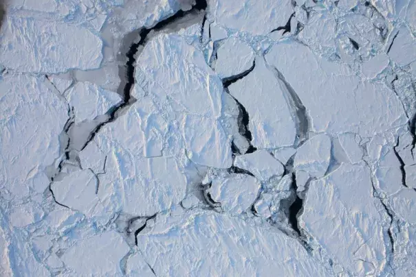 Arctic sea ice reached a new record low for January last month. Photo: NASA