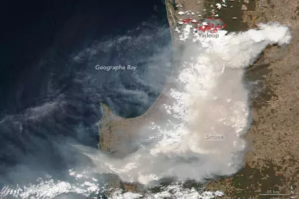 Smoke from the Yarloop Fire in the South West of Western Australia. Gizmodo