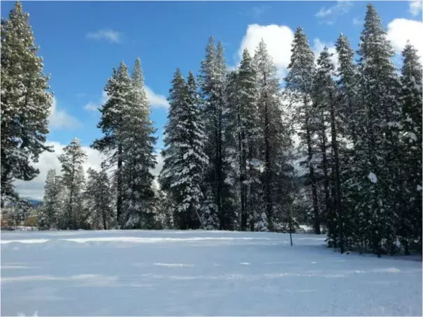 The Donner Memorial State Historic Park in Truckee in December 2015. Snow storms have continued to build snowpack in the Sierra Nevada, critical to California's water supply. Photo: Ed Joyce, Capital Public Radio