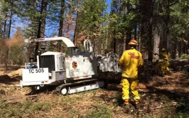 Cal Fire building fuel breaks throughout Sierra Nevada mountains. Photo: Fresno Bee