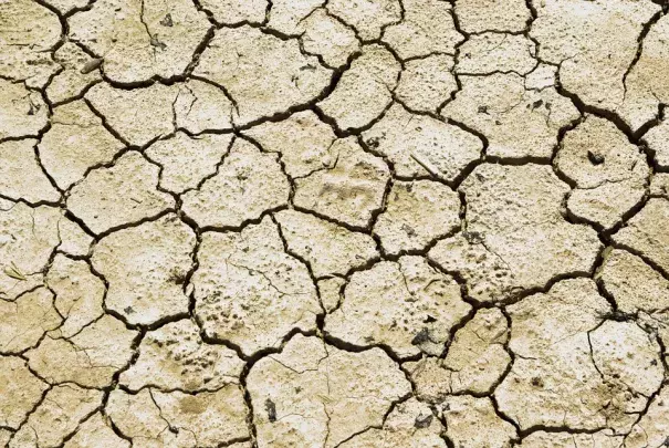 Parched Earth (Image: Pixabay)