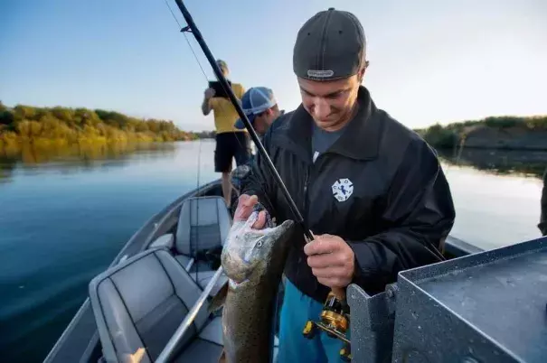 Shawn Gallagher of Costa Mesa catches a salmon on the Sacramento River in early September. Photo: Randall Benton 