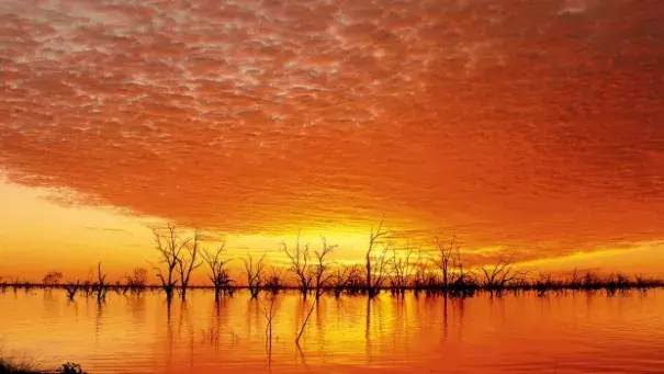 Record temperatures for another month - this time October. Photo: Tony Derix, BoM