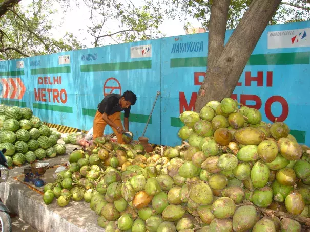 Green Coconut Vendor in India in Summer. Photo: ankurjain