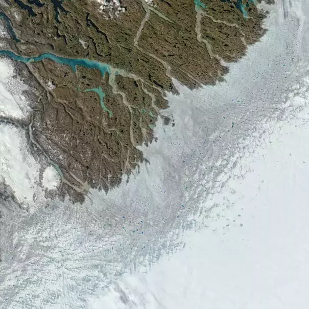 Numerous melt ponds are visible in this image of Greenland’s southwest coast, captured by NASA’s Aqua satellite on June 12, 2016. The grayish-blue band also is indicative of melting at the surface. Photo: NASA EOSDIS