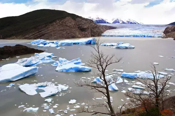 Icebergs, Grey Glacier, Patagonia, Chile. Image Credit: Dimitry B.