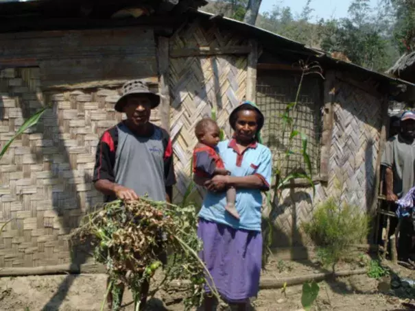 Villagers in Avaninofi in Papua New Guinea's Eastern Highlands Province display tomato plants which have perished during this year's severe drought. Photo: Catherine Wilson, IPS