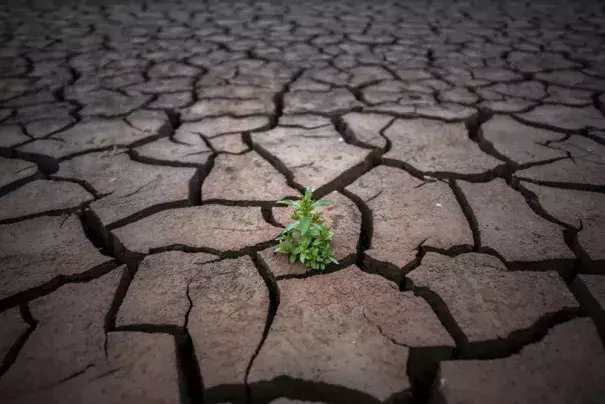 FILE - A plant is photographed on a cracked earth after the water level has dropped in the Sau reservoir, about 100 km (62 miles) north of Barcelona, Spain, on April 18, 2023. Drought-stricken Spain says last month was the hottest and driest April since records began in 1961. 