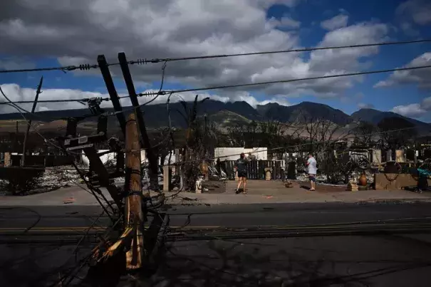 Downed power lines block a road as people feed chickens outside a burnt home in the aftermath of a wildfire in Lahaina, western Maui, Hawaii, on August 11th, 2023. (Credit: Patrick T. Fallon / AFP via Getty Images)