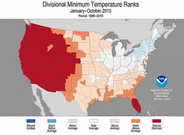 Almost one third of the entire country (including much of Florida) has seen this year so far (from January 1 to Oct. 31) result in the warmest average minimum temperatures on record since 1895. Image: NOAA/NCDC