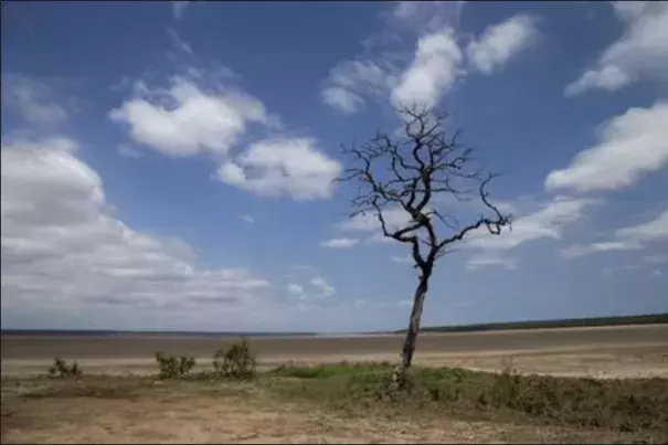 Lake St Lucia is almost completely dry due to drought conditions in the iSimangaliso Wetland Park, northeast of Durban, South Africa February 25, 2016. Photo: Rogan Ward, Reuters