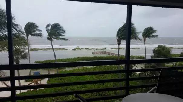 Strong winds in Fort Myers Beach, Fla., from Tropical Storm Colin on June 6. Photo: Mary Southard via Facebook