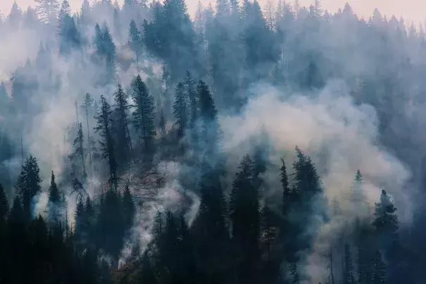 The Blue Creek wildfire, burning near Walla Walla, Wash., this month. Photo: Ruth Fremson, The New York Times