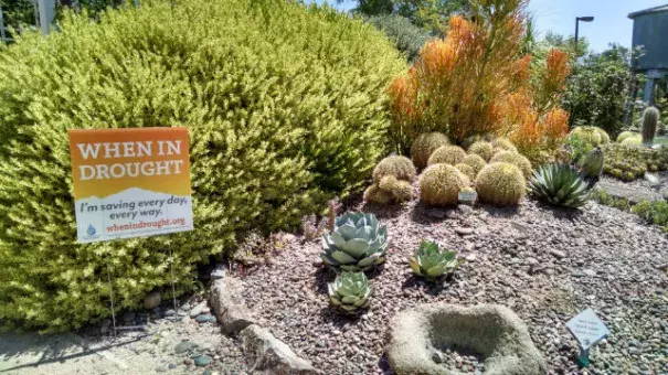 A plant display in the Water Conservation Garden. Photo: Chris Jennewein