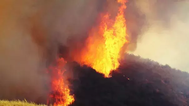 A wildfire in northern Los Angeles County gains ferocious new power two days after it broke out in Placenta Caynon Road in Santa Clarita, Calif., Sunday, July 24, 2016. Flames raced down a steep hillside "like a freight train," leaving smoldering remains of homes and forcing thousands to flee the wildfire churning through tinder-dry canyons in Southern California, authorities said Sunday. Photo: Matt Hartman / AP