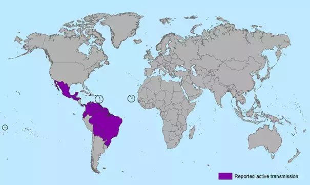 Zika transmission. Photo: Wiki Commons 