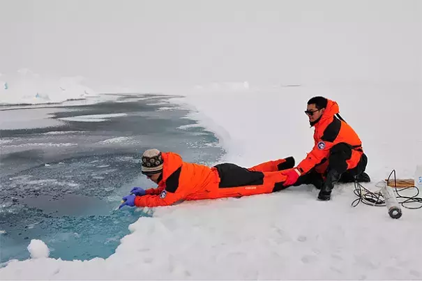 University of Delaware postdoctoral researcher Baoshan Chen (pictured left) takes water samples from a melting pond on ice in the northern Arctic Ocean basin while his Chinese collaborator assists. Photo: Di Qi and Zhongyong Gao, Third Institute of Oceanography, State Oceanic Administration of China.