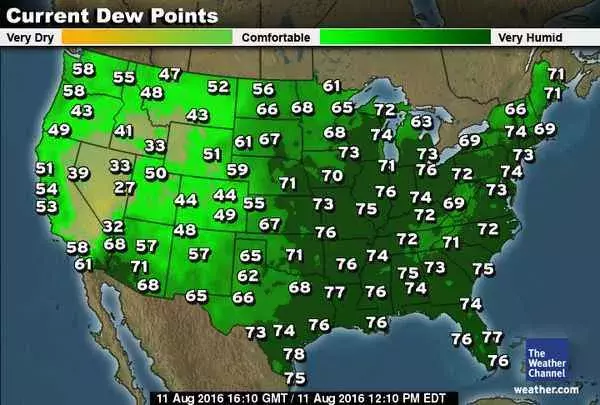 Dew points at noon in the lower forty-eight. Image: The Weather Channel