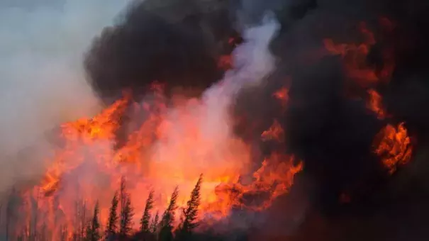 Six weeks after it roared into Fort McMurray, the huge fire in northern Alberta is now classified as 'being held' for the first time. Photo: Darryl Dyck, Bloomberg
