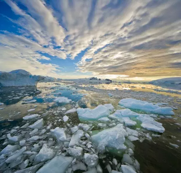Scientists believe that Antarctica could lose more ice than Greenland within a few years. Photo: Momatiuk-Eastcott/Corbis