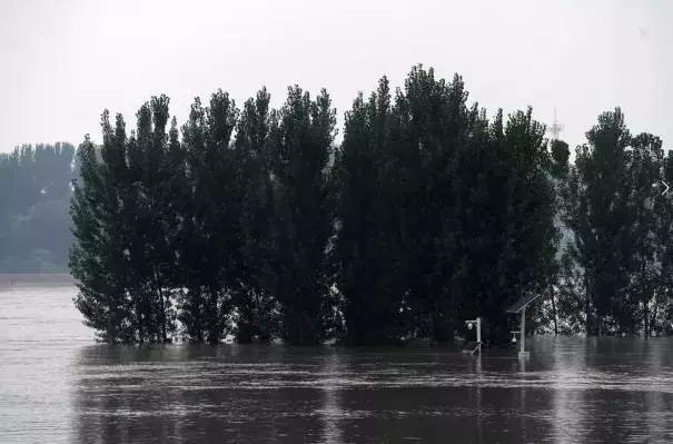 Trees are shown in a flooded river.
