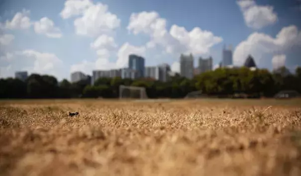 Dry grass from a lack of rain sits beneath the Midtown skyline in Atlanta on Thursday, Oct. 3, 2019. Scientists say more than 45 million people across 14 Southern states are in the midst of a rapidly intensifying drought that's cracking farm soil, drying up ponds and raising the risk of wildfires. The dry ground has helped surface temperatures soar to record highs for early October. Credit: David Goldman, AP