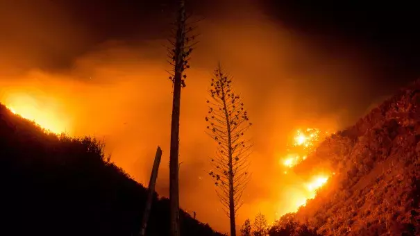 The Blue Cut fire burns in Upper Lytle Creek near Wrightwood, Calif., on Friday. Photo: Noah Berger, AP