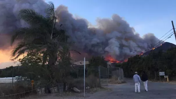 A wildfire burns off of the hills next to CA-126 highway, just northwest of Fillmore, Calif., Thursday, Dec. 7, 2017. Thousands of homes remain threatened by at least four major Southern California wildfires that have destroyed structures and sent residents fleeing. Photo: Amanda Lee Myers, AP