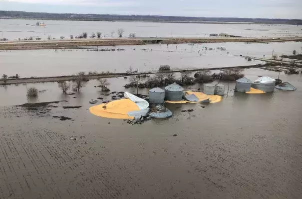 The contents of grain silos which burst from flood damage are shown in Fremont County, Iowa, U.S., March 29, 2019. Photo taken March 29, 2019. Credit: Tom Polansek, Credit