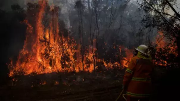 NSW Rural Fire Service crews struggle to contain an out of control bushfire around the Wentworth Falls escarpment in August. Photo: Wolter Peeters 