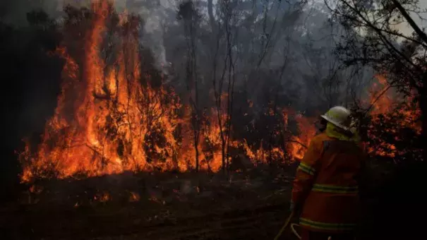 NSW Rural Fire Service crews struggle to contain an out of control bushfire around the Wentworth Falls escarpment in August. Photo: Wolter Peeters