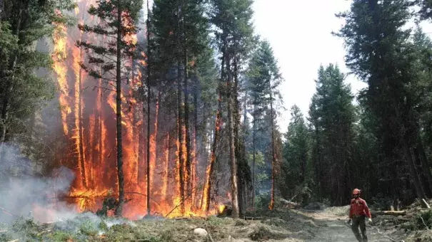 Tinder dry weather, wind and dry lightning have caused fires to spread aggressively in the province. Photo: B.C. Wildfire Service