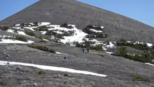 Low snowpack and bare ground is visible at 2,200 metres on this mountain in the Kananaskis Valley on May 21. Normally snowpack remains here until June. Photo: John Pomeroy