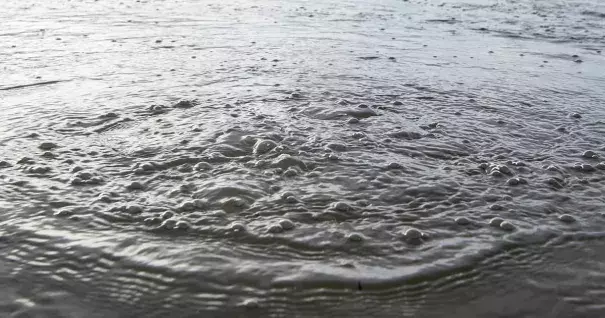 Photo: Jonathan Newton