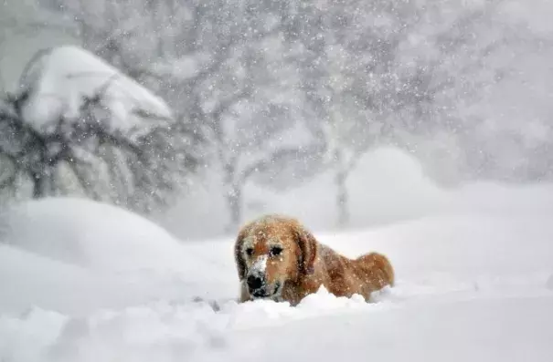 Lake Effect. Image: Discovery News