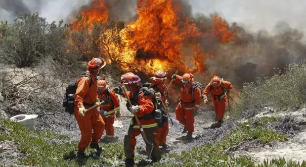 A firefighting crew moves to higher ground while battling the Poinsettia blaze in Carlsbad on May 14, 2014. Photo: Hayne Palmour IV