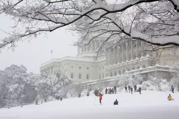 Sledding at the Capitol during Snowmageddon. Photo: Ian Livingston