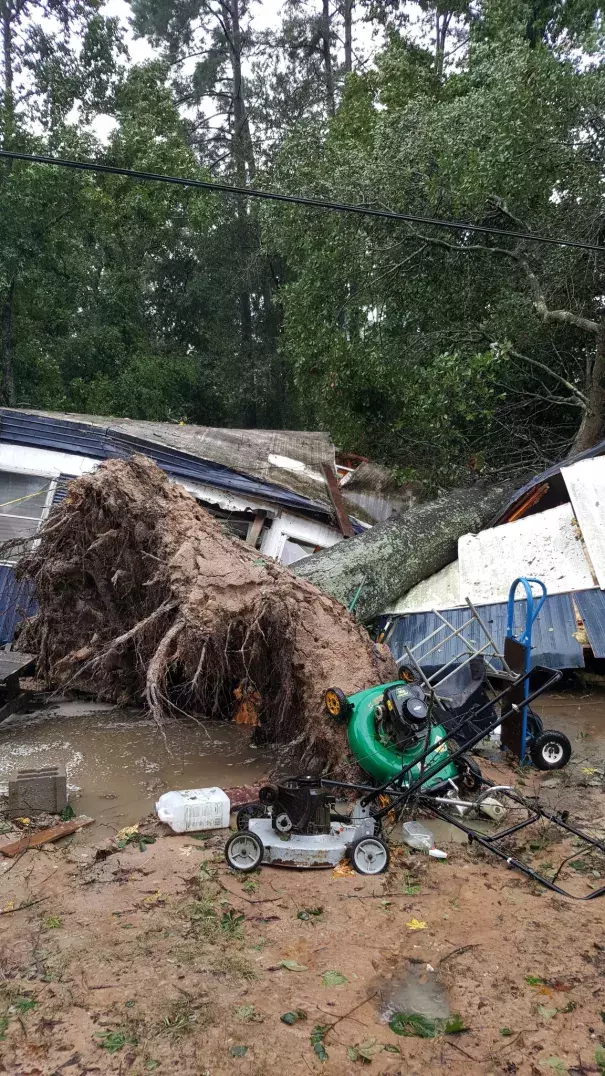 The sheriff’s office confirmed Monday afternoon a 60-year-old woman was killed when a tree fell on her home as she slept. Photo: MCSO